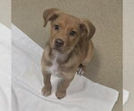 Small #1 Breeder Profile image