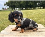Image preview for Ad Listing. Nickname: Mia