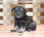 Image preview for Ad Listing. Nickname: Stella