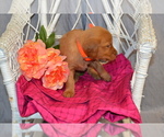  - Photo #2