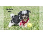Image preview for Ad Listing. Nickname: Remington
