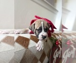  - Photo #2