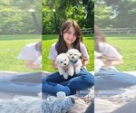 Image preview for Ad Listing. Nickname: Lizzy