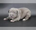 Image preview for Ad Listing. Nickname: Haniel