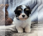 Image preview for Ad Listing. Nickname: NOVA