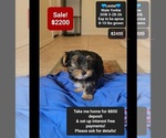 Image preview for Ad Listing. Nickname: Lestat