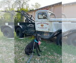 Small #4 Great Dane Mix