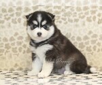 Image preview for Ad Listing. Nickname: Charlie