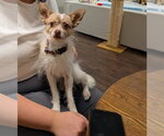Small #1 Jack Chi