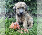 Image preview for Ad Listing. Nickname: Dominic