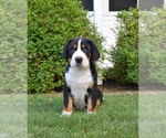 Image preview for Ad Listing. Nickname: Delilah