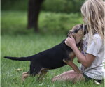 Small #9 Mutt
