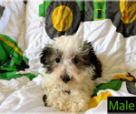 Image preview for Ad Listing. Nickname: No name