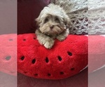 Image preview for Ad Listing. Nickname: Stitch