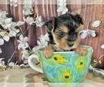 Image preview for Ad Listing. Nickname: Lil Prue