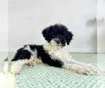 Image preview for Ad Listing. Nickname: Wednesday