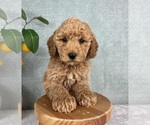 Image preview for Ad Listing. Nickname: Gatsby