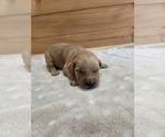 Image preview for Ad Listing. Nickname: Sophie