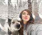 Small #1 Australian Cattle Dog