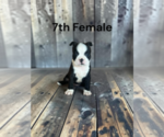 Image preview for Ad Listing. Nickname: 7th Female