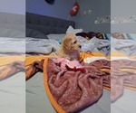  - Photo #10