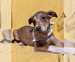 Small #2 Breeder Profile image