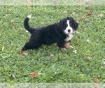  - Photo #2