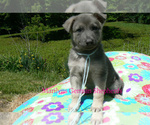 Image preview for Ad Listing. Nickname: Saltwater Breez