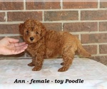 Image preview for Ad Listing. Nickname: Ann
