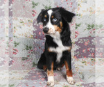 Image preview for Ad Listing. Nickname: Arwen