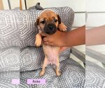 Small Chug