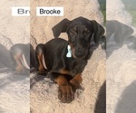 Image preview for Ad Listing. Nickname: Brooke