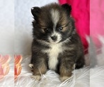 Image preview for Ad Listing. Nickname: Emilia