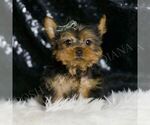 Image preview for Ad Listing. Nickname: Taco ACA