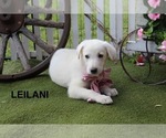 Image preview for Ad Listing. Nickname: Leilani