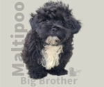 Image preview for Ad Listing. Nickname: Big Brother