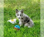 Image preview for Ad Listing. Nickname: Cesar