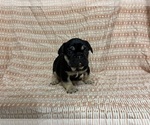 Image preview for Ad Listing. Nickname: Hulk