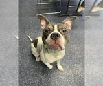Small #2 Breeder Profile image