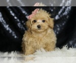 Image preview for Ad Listing. Nickname: Sissy