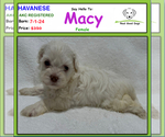 Image preview for Ad Listing. Nickname: Macy