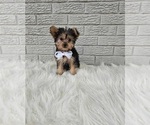Image preview for Ad Listing. Nickname: Benson