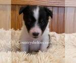 Image preview for Ad Listing. Nickname: Tri Girl R