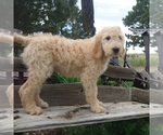 Image preview for Ad Listing. Nickname: York