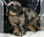Image preview for Ad Listing. Nickname: Mystic