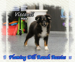 Image preview for Ad Listing. Nickname: Visconti
