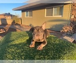 Image preview for Ad Listing. Nickname: THANOS