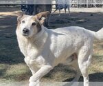 Small #2 Breeder Profile image