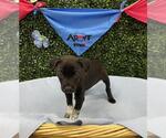 Small #2 Breeder Profile image