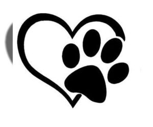 Mutt Dogs for adoption in Jackson Township, NJ, USA
